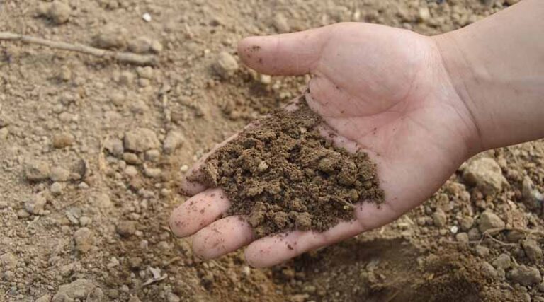 List of Registered Fertilizer and Fertilizer Supplements in the United Republic of Tanzania