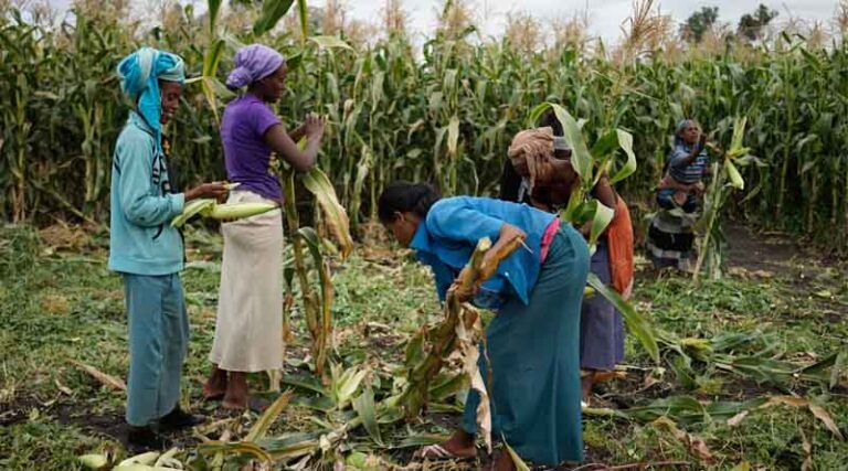 International Women’s Day: Inclusion Drives Innovation