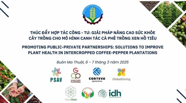 Promoting Public-Private Partnership: Solutions to Improve Plant Health in Intercropped Coffee-Pepper Plantations