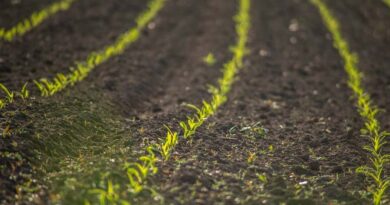 Biostimulant Sales Stopped in Jalgaon, Distributors Asked to Submit Stock Details