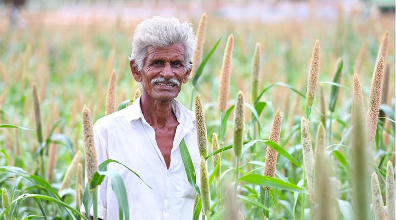 Switching from Rice to Alternative Cereals Can Boost Farmer Incomes and Climate Resilience in India