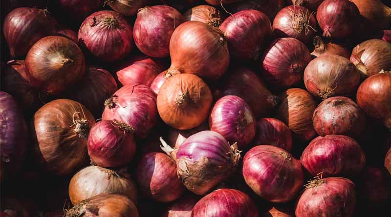 Nashik Farmers Protest Against 20% Onion Export Duty Amid Falling Prices