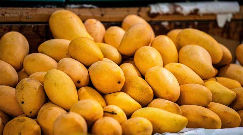 Mango Supply in Hyderabad Markets Declines Due to Delayed Arrivals