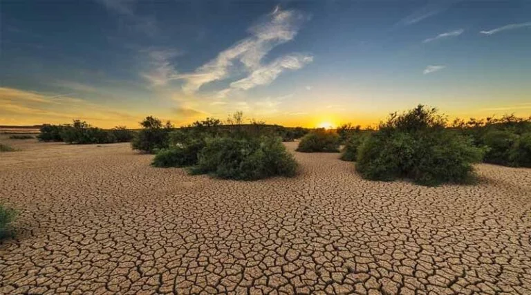 Development Of High-yielding And Climate Resilient Crops