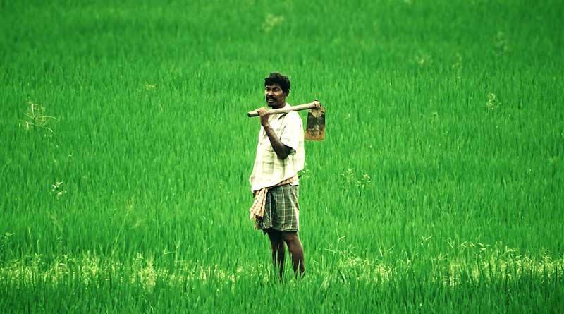 Government Taking Steps To Increase Income Of Farmers & Make Agriculture Profitable: Shyam Singh Rana