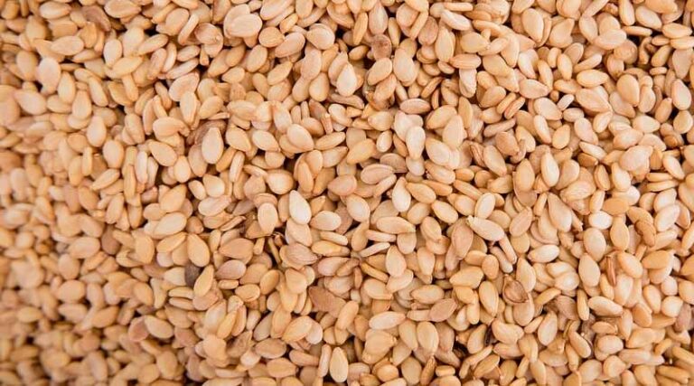 Hybrid Sesame