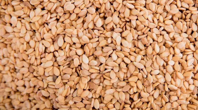 Hybrid Sesame