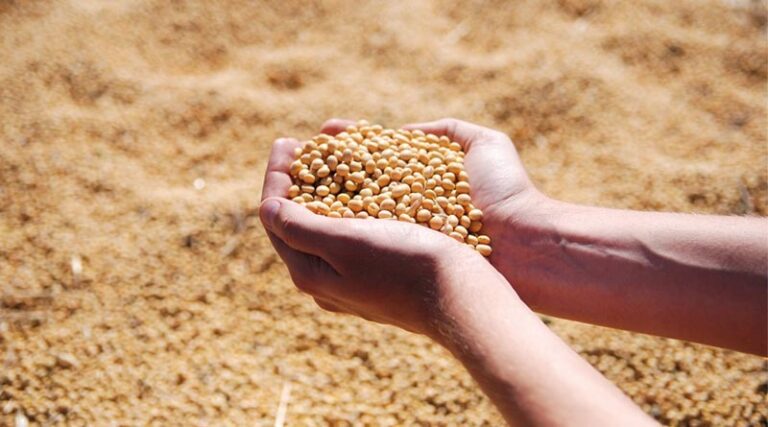 Edible Oil Inflation Rises to 17% in March Despite Overall Price Moderation