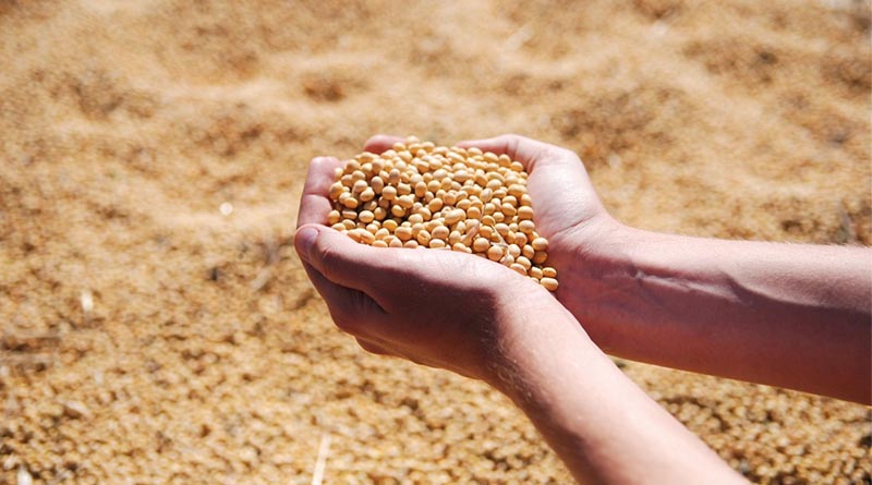 Edible Oil Inflation Rises to 17% in March Despite Overall Price Moderation