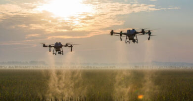 Brazil: 4,216 Generic Pesticide Registrations Approved Since 2006