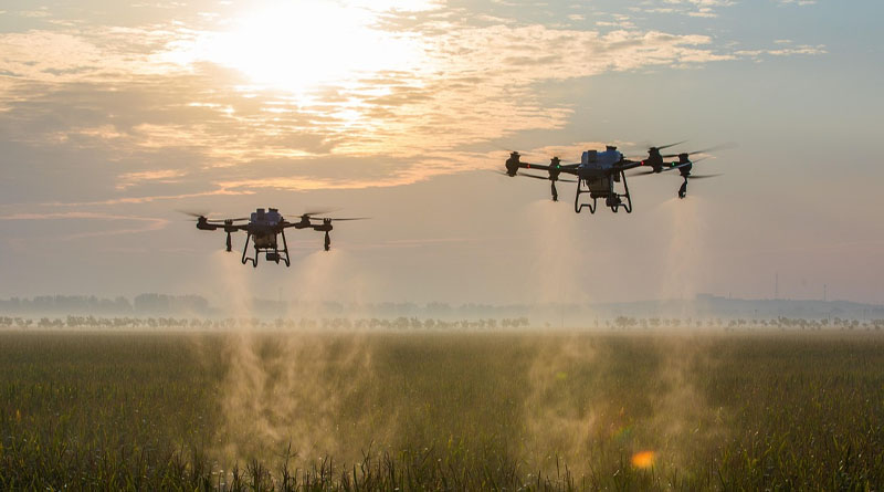Brazil: 4,216 Generic Pesticide Registrations Approved Since 2006
