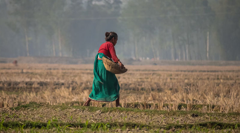 Rajasthan’s Kisan Commission Meets in Jaipur: Will Promises Translate into Action?