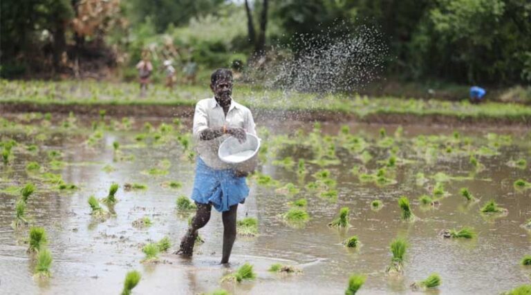 Central Govt Announces ₹1,350 DAP Price for Kharif 2025, Imposes 10% Import Duty on Chickpeas