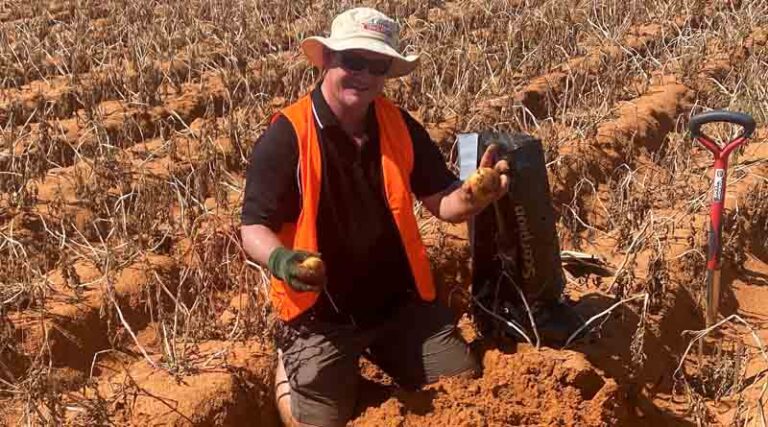 Next Generation Nematicide Delivers Long Lasting And Cost Effective Control