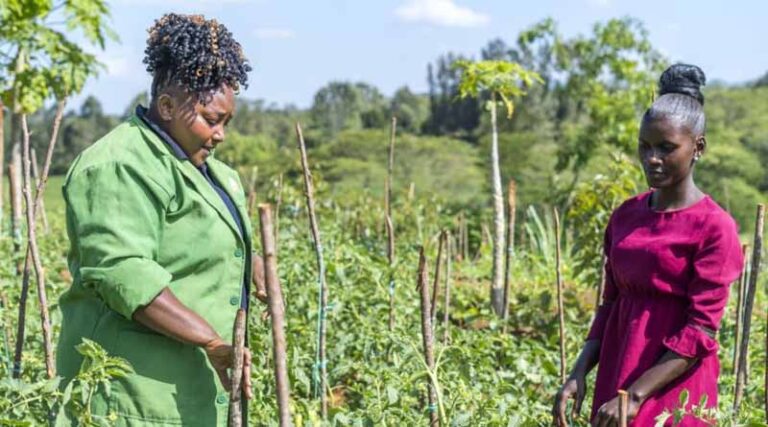 Forging A New Approach To Agriculture Research From A Gender Lens