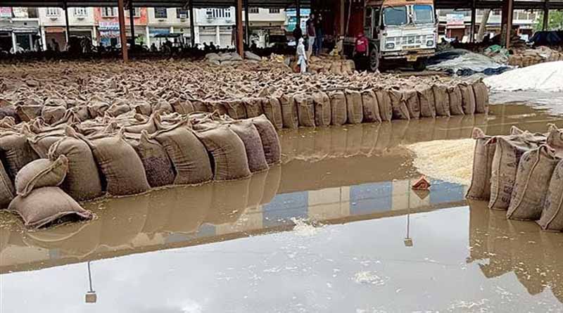Rain Wreaks Havoc in Punjab Mandis, Farmers’ Hard Work Left Soaked in the Open