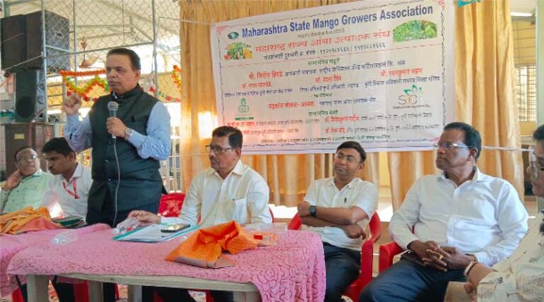 RCF Joins Maharashtra Mango Growers to Help Farmers Earn More, Beat Market Challenges