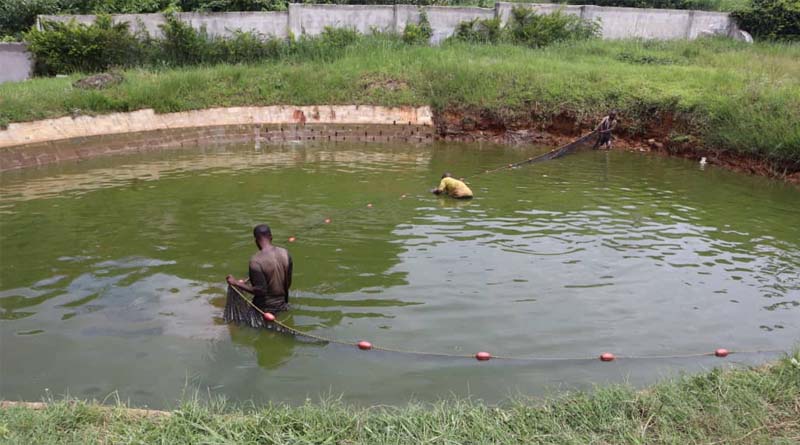 An Entrepreneur’s Journey In Aquaculture: Fueled By Partnership, Innovation, And Resilience