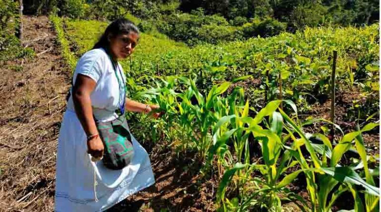 Positive Solutions for Nature in Colombia: A Review