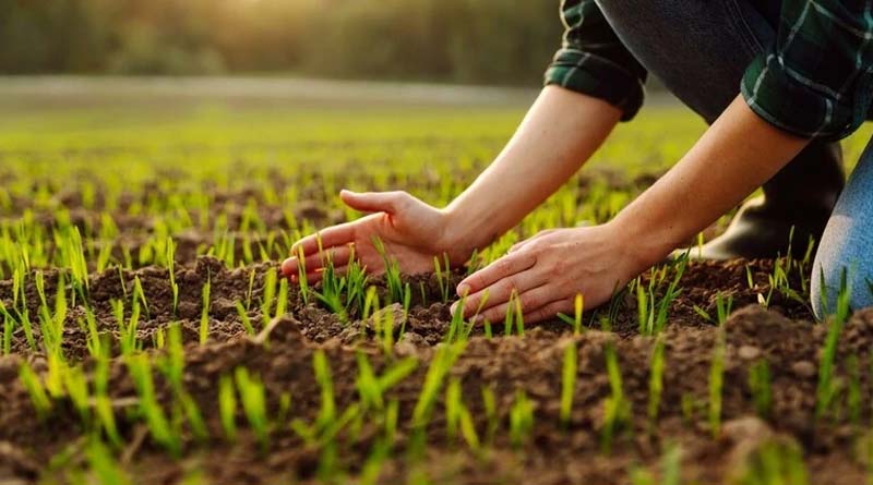 Feralla, New Active Ingredient for Mollusc Control, Gains EU Approval