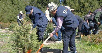 In Kyrgyzstan, Director-general Plants Seedlings, Opens Photo Exhibit And Visits Agricultural Facilities