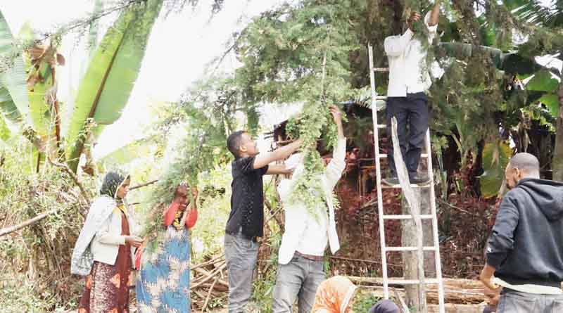 Tree Seed Centres Vow To Match Farmer Groups With Quality Seed Sources