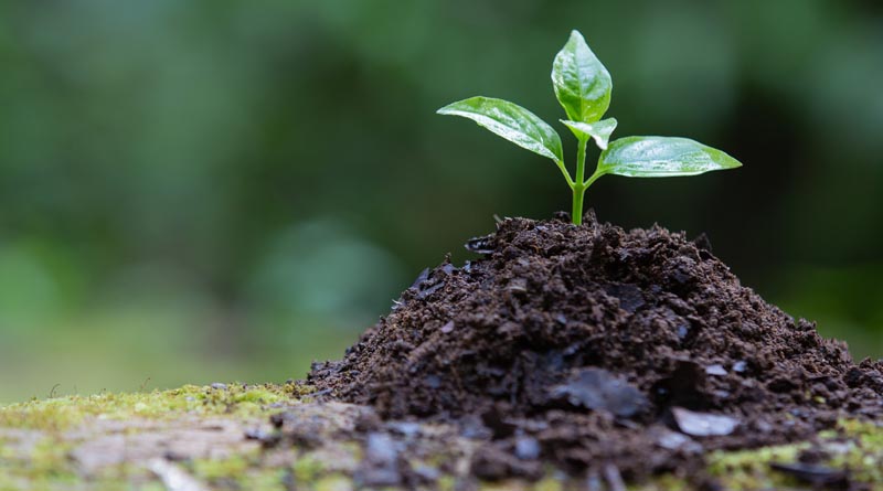 PRESPL, APChemi and Intellecap Collaborate To Develop India's Largest Biochar Based Carbon Credit Platform - BiocharIND
