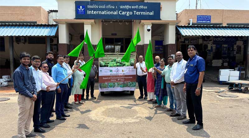 First Drumstick Shipment from Odisha Reaches Global Markets