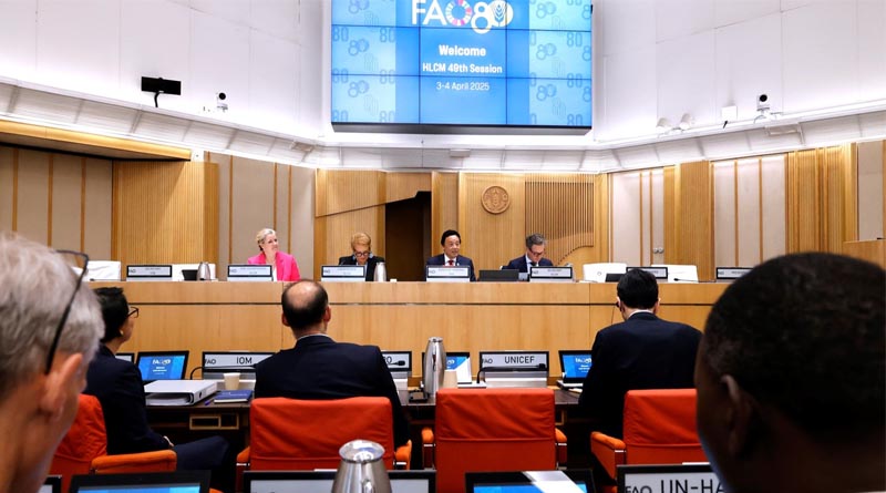49th session of the UN High-Level Committee on Management: FAO Director-General highlights need for effective and efficient collaboration