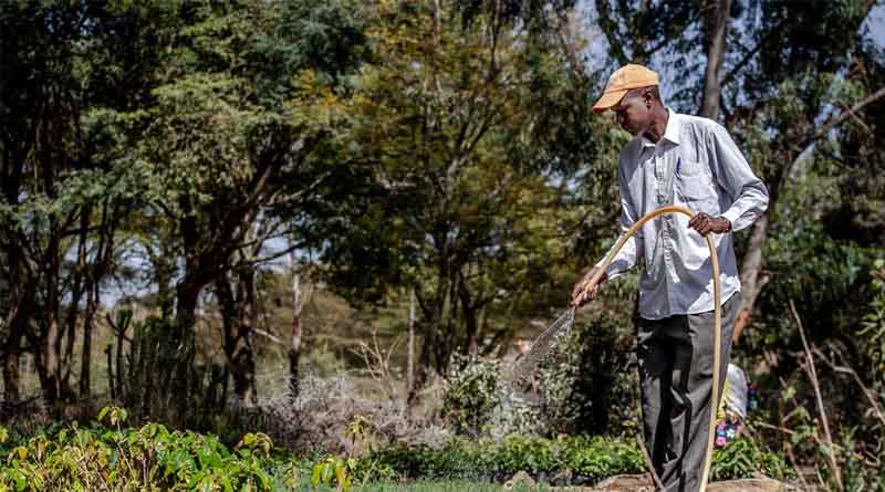 30 years of AQUASTAT: FAO celebrates global water data milestone