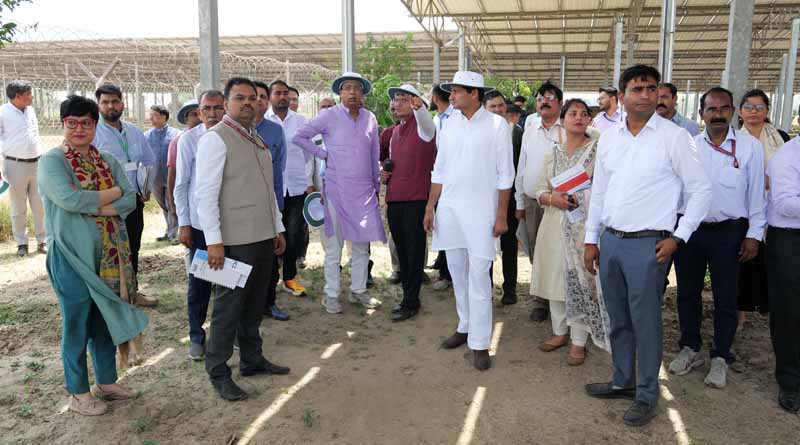 Parliamentary Estimates Committee Reviews PM-KUSUM and PM Surya Ghar: Muft Bijli Yojana at Agrivoltaics Site in Issapur, Delhi