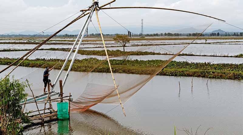 Directs Officials To Expedite Plans And Enhance Coordination For Fisheries And Agriculture Projects To Boost Farmers' Income