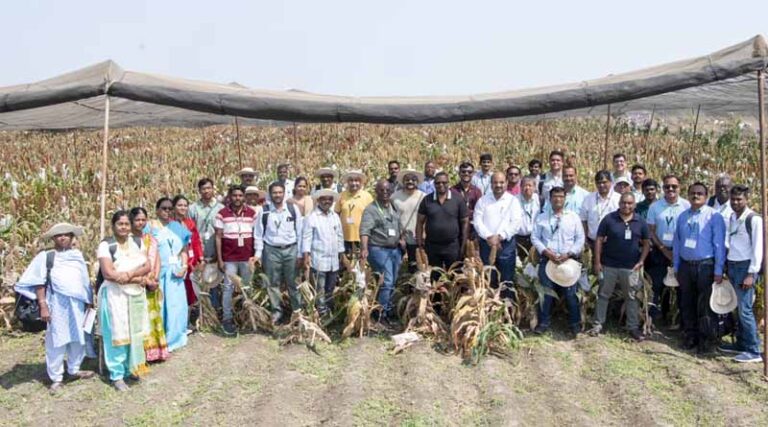ICRISAT’s Sorghum Scientists’ Field Day Highlights Over 13,000 Advanced Breeding Innovations