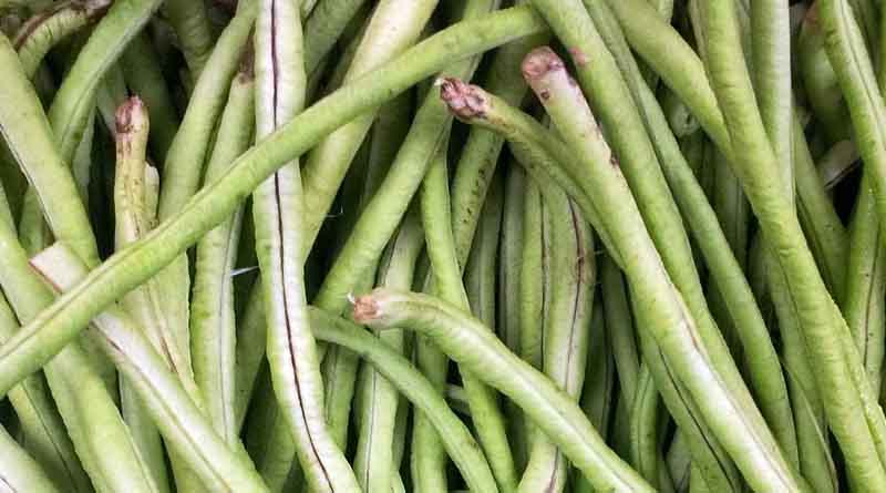 Ideal Time for Summer Vegetable Sowing: Choose the Right Varieties for Better Yields - IARI Advisory