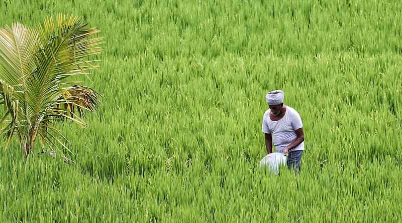 Scalability and Monetization Challenges in the Indian Agri-Tech Startup Ecosystem