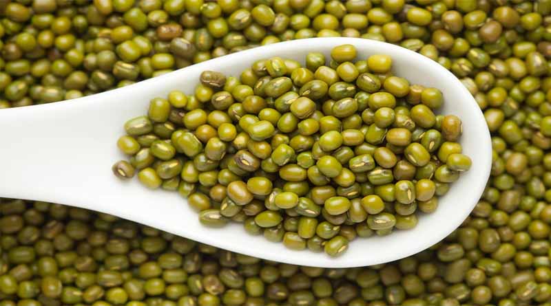 Possibility of Infestation in Moong Crop Due to Weather Fluctuations; Experts Advise Timely Measures