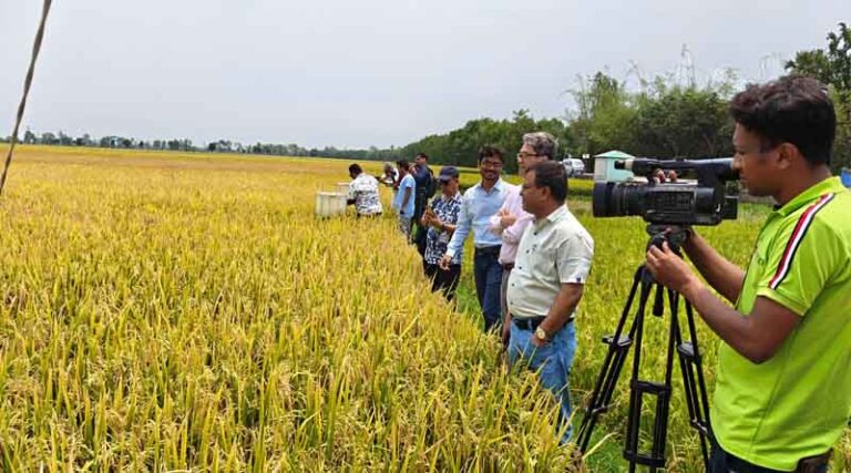 ADB Initiative Promotes Water-saving Irrigation Practice In Drought-prone Bangladesh Region