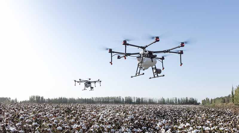 Two Decades of Bt Cotton in India: A Story of Progress and Persistent Challenges