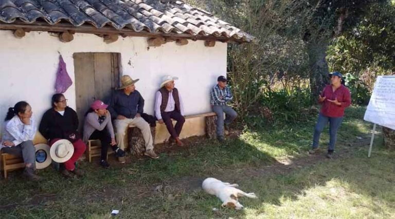 Fidelia González Galindo, a Rural Woman Who Challenges Limits And Transforms The Countryside