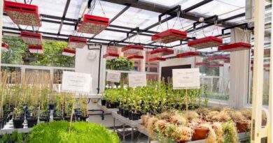 ICARDA Inaugurates The African Breeding Accelerator