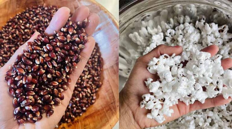 The Viral Video: Pomegranate and Butter Popping into Pomegranate Popcorn – The Truth Behind the Craze