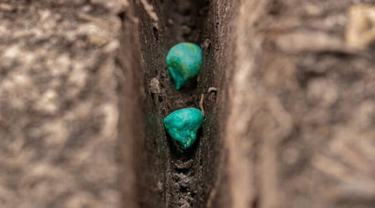 Acadian Launches Advanced Biostimulant Seed Treatment for Abiotic Stress Management
