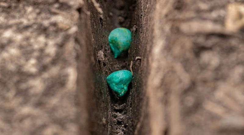 Acadian Launches Advanced Biostimulant Seed Treatment for Abiotic Stress Management