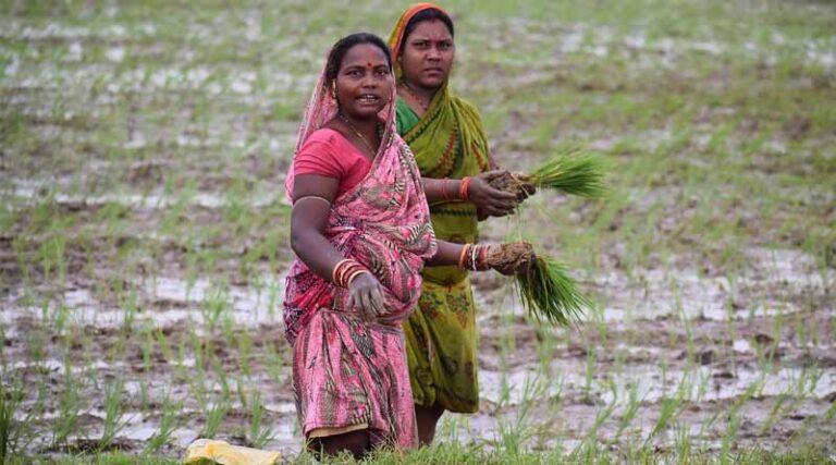 A Boon for Superior Plant Nutrition Management and Soil Health Protection in Modern Agriculture: IFFCO Nano Fertilizers