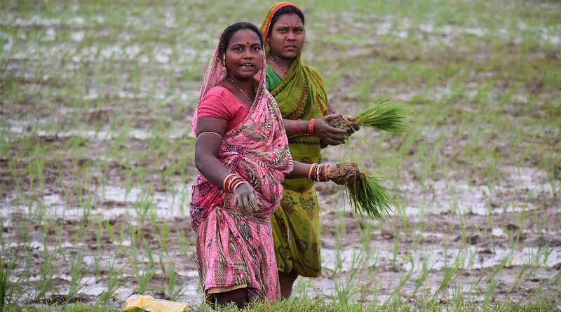 A Boon for Superior Plant Nutrition Management and Soil Health Protection in Modern Agriculture: IFFCO Nano Fertilizers