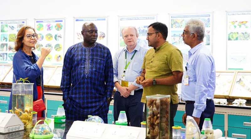 Biodiversity Day Feature Story: A Delicate Balance: Insect Pests, Pollinators and Food Production