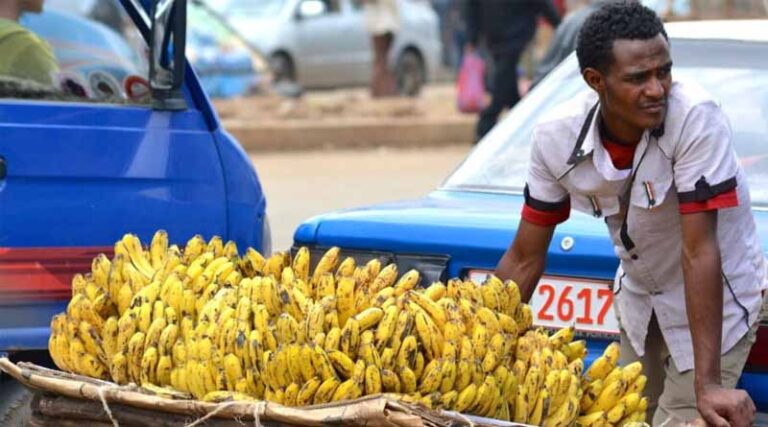 Equipping Decision-makers With Evidence To Tackle Global Crop Loss