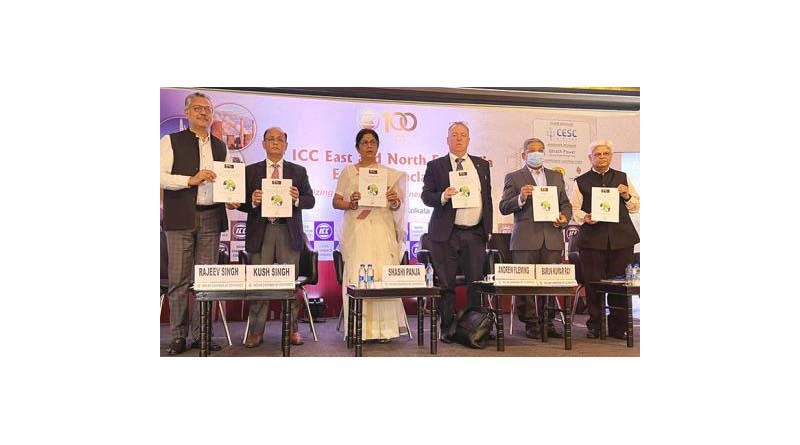 TERI Advances Clean Energy Agenda at 4th East and North East India Energy Conclave