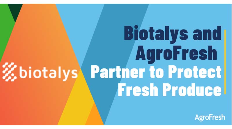 Biotalys and AgroFresh Partner to Protect Fresh Produce