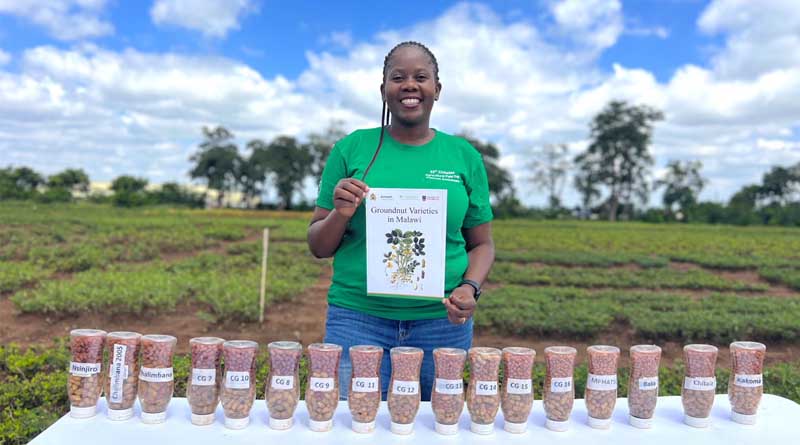 ICRISAT and Malawi Government Release Climate-Resilient Groundnut Variety For Commercialization